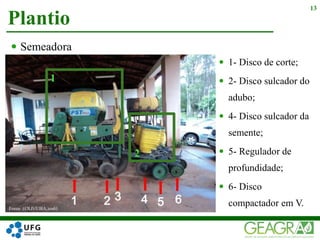 13
 Semeadora
 1- Disco de corte;
 2- Disco sulcador do
adubo;
 4- Disco sulcador da
semente;
 5- Regulador de
profundidade;
 6- Disco
compactador em V.
1
2
Plantio
 