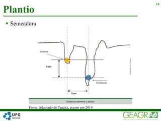 14
 Semeadora
Plantio
Fonte: Adaptado de Tanaka, acesso em 2019
 