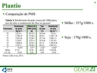 18
 Comparação de PMS
Fonte: Lobo et al.,2013.
 Milho : 357g/1000 s.
 Soja : 170g/1000 s.
Plantio
 