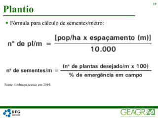 Plantio
19
 Fórmula para cálculo de sementes/metro:
Fonte: Embrapa,acesso em 2019.
 