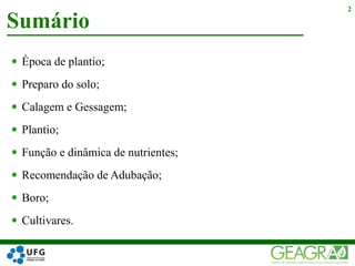  Época de plantio;
 Preparo do solo;
 Calagem e Gessagem;
 Plantio;
 Função e dinâmica de nutrientes;
 Recomendação de Adubação;
 Boro;
 Cultivares.
Sumário
2
 