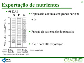 27
Exportação de nutrientes
N
Fonte: Adaptado de Zobiole et al., 2010
KP  O potássio continua em grande parte na
área;
 Função de sustentação do potássio;
 N e P com alta exportação.
 98 DAE
 