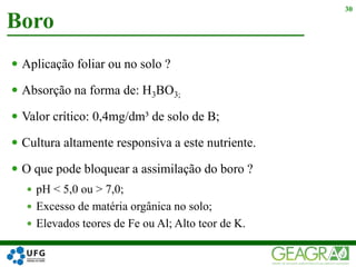  Aplicação foliar ou no solo ?
 Absorção na forma de: H3BO3;
 Valor crítico: 0,4mg/dm³ de solo de B;
 Cultura altamente responsiva a este nutriente.
 O que pode bloquear a assimilação do boro ?
 pH < 5,0 ou > 7,0;
 Excesso de matéria orgânica no solo;
 Elevados teores de Fe ou Al; Alto teor de K.
Boro
30
 