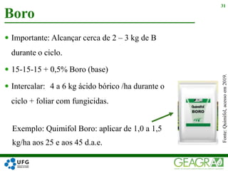 Boro
31
 Importante: Alcançar cerca de 2 – 3 kg de B
durante o ciclo.
 15-15-15 + 0,5% Boro (base)
 Intercalar: 4 a 6 kg ácido bórico /ha durante o
ciclo + foliar com fungicidas.
Fonte:Quimifol,acessoem2019.
Exemplo: Quimifol Boro: aplicar de 1,0 a 1,5
kg/ha aos 25 e aos 45 d.a.e.
 