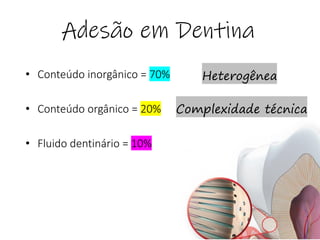 Adesão em Dentina
• Conteúdo inorgânico = 70%
• Conteúdo orgânico = 20%
• Fluido dentinário = 10%
Heterogênea
Complexidade técnica
 