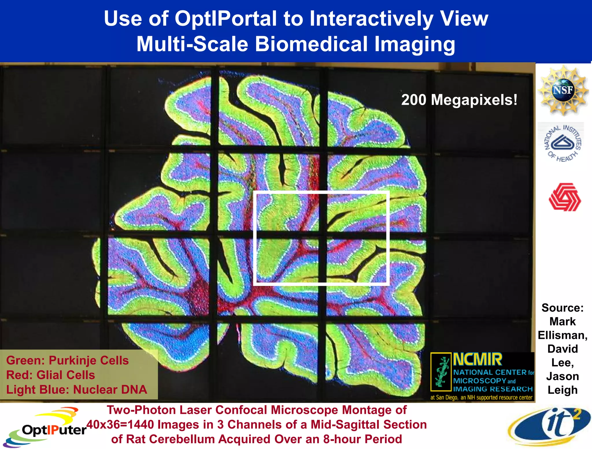 Use of OptIPortal to Interactively View
                 Multi-Scale Biomedical Imaging

                                                                 200 Megapixels!




                                                                                    Source:
                                                                                     Mark
                                                                                   Ellisman,
                                                                                     David
Green: Purkinje Cells                                                                 Lee,
Red: Glial Cells                                                                     Jason
Light Blue: Nuclear DNA                                                              Leigh
                Two-Photon Laser Confocal Microscope Montage of
             40x36=1440 Images in 3 Channels of a Mid-Sagittal Section
                 of Rat Cerebellum Acquired Over an 8-hour Period
 