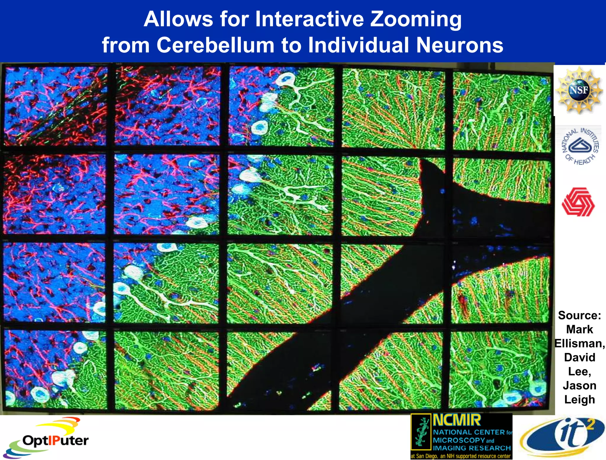 Allows for Interactive Zooming
from Cerebellum to Individual Neurons




                                         Source:
                                          Mark
                                        Ellisman,
                                          David
                                           Lee,
                                          Jason
                                          Leigh
 