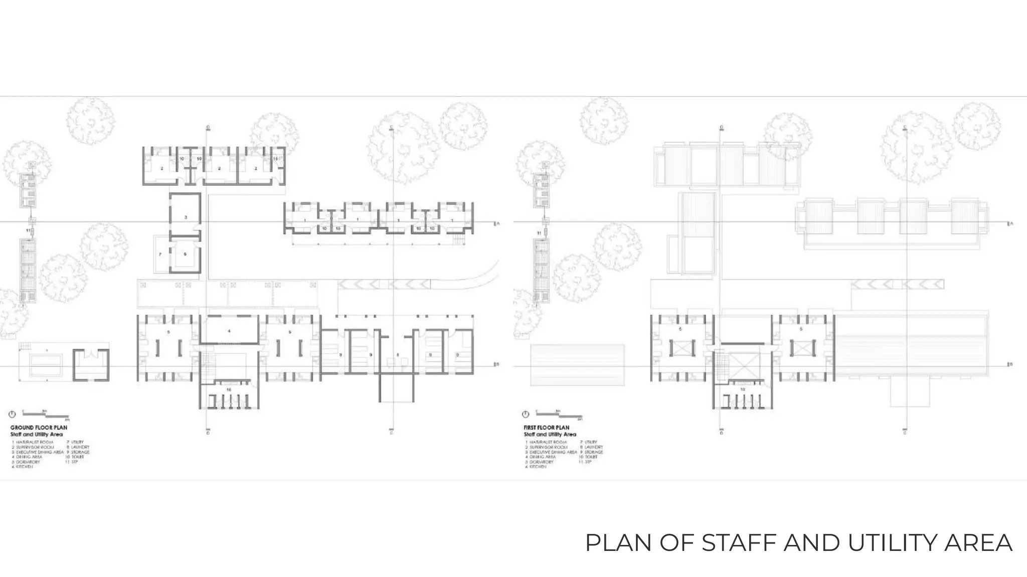 PLAN OF STAFF AND UTILITY AREA
 