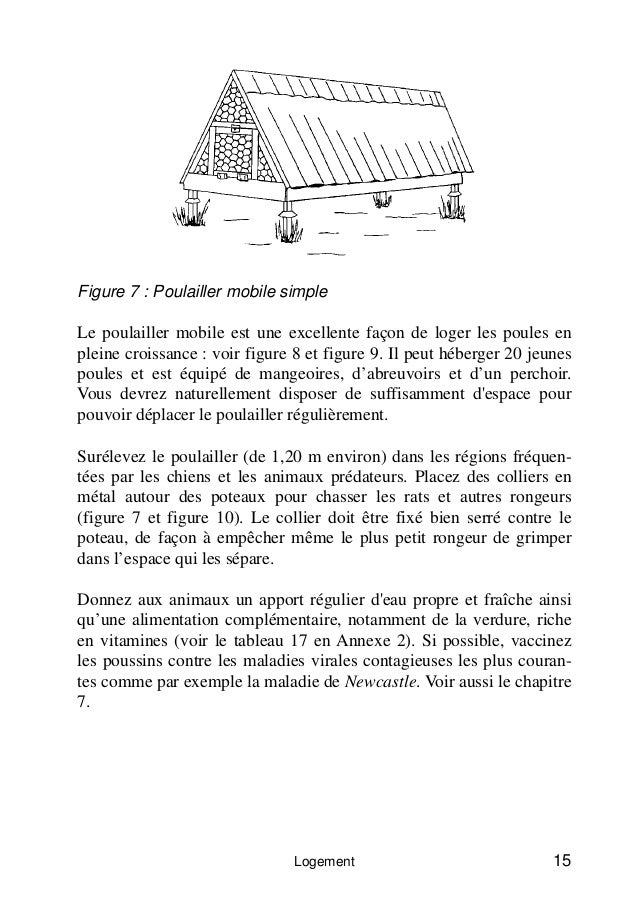 Lu0027élevage de poules à petite échelle