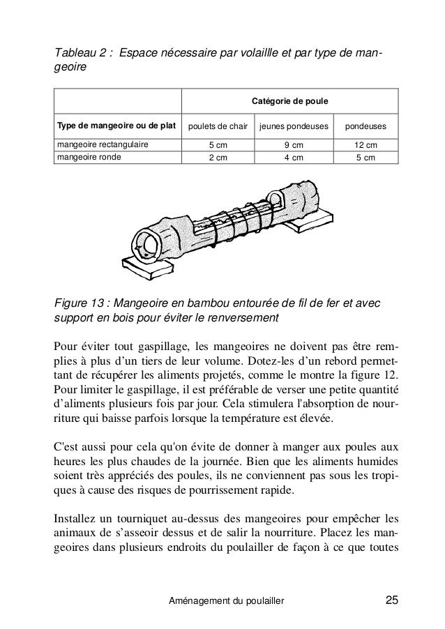 Lu0027élevage de poules à petite échelle