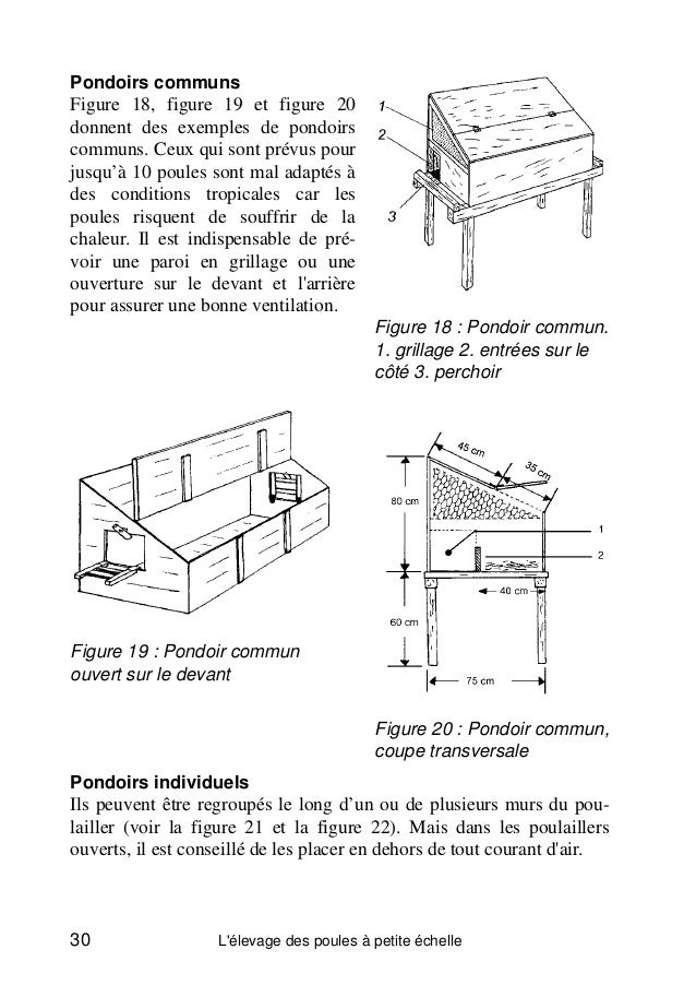 Lu0027élevage de poules à petite échelle