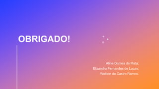 OBRIGADO!
Aline Gomes da Mata;
Elizandra Fernandes de Lucas;
Weliton de Castro Ramos.
 
