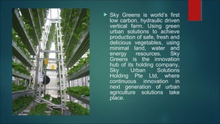  Sky Greens is world’s first
low carbon, hydraulic driven
vertical farm. Using green
urban solutions to achieve
production of safe, fresh and
delicious vegetables, using
minimal land, water and
energy resources. Sky
Greens is the innovation
hub of its holding company,
Sky Urban Solutions
Holding Pte Ltd, where
continuous innovation in
next generation of urban
agriculture solutions take
place.
 