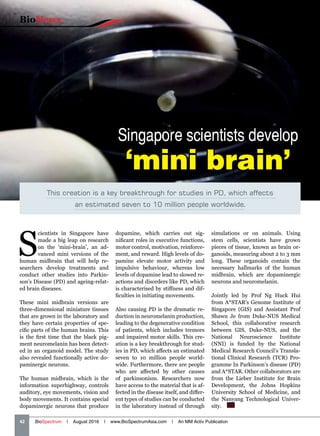 Singapore scientists develop
‘mini brain’
This creation is a key breakthrough for studies in PD, which affects
an estimated seven to 10 million people worldwide.
BioNews
42   BioSpectrum | August 2016 | www.BioSpectrumAsia.com | An MM Activ Publication
S
cientists in Singapore have
made a big leap on research
on the ‘mini-brain’, an ad-
vanced mini versions of the
human midbrain that will help re-
searchers develop treatments and
conduct other studies into Parkin-
son’s Disease (PD) and ageing-relat-
ed brain diseases.
These mini midbrain versions are
three-dimensional miniature tissues
that are grown in the laboratory and
they have certain properties of spe-
cific parts of the human brains. This
is the first time that the black pig-
ment neuromelanin has been detect-
ed in an organoid model. The study
also revealed functionally active do-
paminergic neurons.
The human midbrain, which is the
information superhighway, controls
auditory, eye movements, vision and
body movements. It contains special
dopaminergic neurons that produce
dopamine, which carries out sig-
nificant roles in executive functions,
motor control, motivation, reinforce-
ment, and reward. High levels of do-
pamine elevate motor activity and
impulsive behaviour, whereas low
levels of dopamine lead to slowed re-
actions and disorders like PD, which
is characterised by stiffness and dif-
ficulties in initiating movements.
Also causing PD is the dramatic re-
duction in neuromelanin production,
leading to the degenerative condition
of patients, which includes tremors
and impaired motor skills. This cre-
ation is a key breakthrough for stud-
ies in PD, which affects an estimated
seven to 10 million people world-
wide. Furthermore, there are people
who are affected by other causes
of parkinsonism. Researchers now
have access to the material that is af-
fected in the disease itself, and differ-
ent types of studies can be conducted
in the laboratory instead of through
simulations or on animals. Using
stem cells, scientists have grown
pieces of tissue, known as brain or-
ganoids, measuring about 2 to 3 mm
long. These organoids contain the
necessary hallmarks of the human
midbrain, which are dopaminergic
neurons and neuromelanin.
Jointly led by Prof Ng Huck Hui
from A*STAR’s Genome Institute of
Singapore (GIS) and Assistant Prof
Shawn Je from Duke-NUS Medical
School, this collaborative research
between GIS, Duke-NUS, and the
National Neuroscience Institute
(NNI) is funded by the National
Medical Research Council’s Transla-
tional Clinical Research (TCR) Pro-
gramme In Parkinson’s disease (PD)
and A*STAR. Other collaborators are
from the Lieber Institute for Brain
Development, the Johns Hopkins
University School of Medicine, and
the Nanyang Technological Univer-
sity.  BS
 