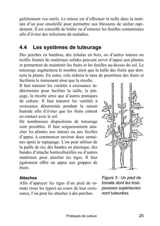 gulièrement vos outils. Le mieux est d’effectuer la taille dans la mati-
née d’un jour ensoleillé pour permettre aux blessures de sécher rapi-
dement. Il est conseillé de brûler ou d’enterrer les feuilles contaminées
afin d’éviter des infections de maladies.


4.4     Les systèmes de tuteurage
Des perches en bambou, des échalas en bois, ou d’autres tuteurs ou
treillis formés de matériaux solides peuvent servir d’appui aux plantes
et permettent de maintenir les fruits et les feuilles au-dessus du sol. Le
tuteurage augmentera le nombre ainsi que la taille des fruits que don-
nera la plante. En outre, cela réduira le taux de pourriture des fruits et
facilitera le traitement ainsi que la récolte.
Il faut tuteurer les variétés à croissance in-
déterminée pour faciliter la taille, le pin-
çage, la récolte ainsi que d’autres pratiques
de culture. Il faut tuteurer les variétés à
croissance déterminée pendant la saison
humide afin d’éviter que les fruits entrent
en contact avec le sol.
De nombreuses dispositions de tuteurage
sont possibles. Il faut soigneusement atta-
cher les plantes aux tuteurs ou aux ficelles
d’appui, à commencer environ deux semai-
nes après le repiquage. L’on peut utiliser de
la paille de riz, des bandes en plastique, des
bandes d’attache horticulturelles ou d’autres
matériaux pour attacher les tiges. Il faut
également offrir un appui aux grappes de
fruits

Attaches                                          Figure 3 : Un pied de
Afin d’appuyer les tiges d’un pied de to-         tomate dont les trois
mate (tous les types) au cours de leur crois-     pousses supérieures
sance, l’on peut les attacher à des perches.      sont tuteurées.




                           Pratiques de culture                        25
 