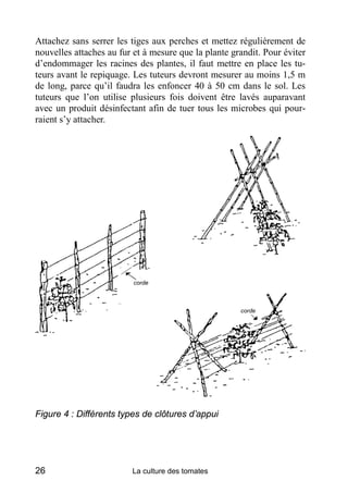 Attachez sans serrer les tiges aux perches et mettez régulièrement de
nouvelles attaches au fur et à mesure que la plante grandit. Pour éviter
d’endommager les racines des plantes, il faut mettre en place les tu-
teurs avant le repiquage. Les tuteurs devront mesurer au moins 1,5 m
de long, parce qu’il faudra les enfoncer 40 à 50 cm dans le sol. Les
tuteurs que l’on utilise plusieurs fois doivent être lavés auparavant
avec un produit désinfectant afin de tuer tous les microbes qui pour-
raient s’y attacher.




Figure 4 : Différents types de clôtures d’appui




26                       La culture des tomates
 