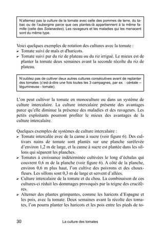 N’alternez pas la culture de la tomate avec celle des pommes de terre, du ta-
 bac ou de l’aubergine parce que ces plantes-là appartiennent à la même fa-
 mille (celle des Solanacées). Les ravageurs et les maladies qui les menacent
 sont du même type.


Voici quelques exemples de rotation des cultures avec la tomate :
? Tomate suivi de maïs et d'haricots.
? Tomate suivi par du riz de plateau ou du riz irrigué. Le mieux est de
  planter la tomate deux semaines avant la seconde récolte du riz de
  plateau.

 N’oubliez pas de cultiver deux autres cultures consécutives avant de replanter
 des tomates (c’est-à-dire une fois toutes les 3 campagnes, par ex. : céréale –
 légumineuse - tomate).


L’on peut cultiver la tomate en monoculture ou dans un système de
culture intercalaire. La culture intercalaire présente des avantages
parce qu’elle diminue la présence des maladies et des ravageurs. Les
petits exploitants pourront profiter le mieux des avantages de la
culture intercalaire.

Quelques exemples de systèmes de culture intercalaire :
? Tomate intercalée avec de la canne à sucre (voir figure 6). Des cul-
  tivars nains de tomate sont plantés sur une planche surélevée
  d’environ 1,2 m de large, et la canne à sucre est plantée dans les sil-
  lons qui séparent les planches.
? Tomates à croissance indéterminée cultivées le long d’échalas qui
  couvrent 0,6 m de la planche (voir figure 6). A côté de la planche,
  environ 0,6 m plus haut, l’on cultive des poivrons et des choux-
  fleurs. Les sillons sont 0,3 m de large et servent d’allées.
? Culture intercalaire de la tomate et du chou. La combinaison de ces
  cultures-ci réduit les dommages provoqués par la teigne des crucifè-
  res.
? Alterner des plantes grimpantes, comme les haricots d’Espagne et
  les pois, avec la tomate. Deux semaines avant la récolte des toma-
  tes, l’on pourra planter les haricots et les pois entre les pieds de to-


30                          La culture des tomates
 
