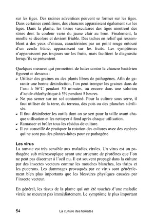 sur les tiges. Des racines adventices peuvent se former sur les tiges.
Dans certaines conditions, des chancres apparaissent également sur les
tiges. Dans la plante, les tissus vasculaires des tiges montrent des
stries dont la couleur varie du jaune clair au brun. Finalement, la
moelle se décolore et devient friable. Des taches en relief qui ressem-
blent à des yeux d’oiseau, caractérisées par un point rouge entouré
d’un cercle blanc, apparaissent sur les fruits. Les symptômes
n’apparaissent pas toujours sur les fruits, mais facilitent le diagnostic
lorsqu’ils se présentent.

Quelques mesures qui permettent de lutter contre le chancre bactérien
figurent ci-dessous :
? Utiliser des graines ou des plants libres de pathogènes. Afin de ga-
   rantir une bonne désinfection, l’on peut tremper les graines dans de
   l’eau à 56°C pendant 30 minutes, ou encore dans une solution
   d’acide chlorhydrique à 5% pendant 5 heures.
? Ne pas semer sur un sol contaminé. Pour la culture sous serre, il
   faut utiliser de la terre, du terreau, des pots ou des planches stérili-
   sés.
? Il faut désinfecter les outils dont on se sert pour la taille avant cha-
   que utilisation et les nettoyer à fond après chaque utilisation.
? Ramasser et brûler tous les résidus de culture.
? Il est conseillé de pratiquer la rotation des cultures avec des espèces
   qui ne sont pas des plantes-hôtes pour ce pathogène.

Les virus
La tomate est très sensible aux maladies virales. Un virus est un pa-
thogène sub microscopique ayant une structure de protéines que l’on
ne peut pas discerner à l’oeil nu. Il est souvent propagé dans la culture
par des insectes vecteurs comme les mouches blanches, les thrips et
les pucerons. Les dommages provoqués par ce virus sont générale-
ment bien plus importants que les blessures physiques causées par
l’insecte vecteur.

En général, les tissus de la plante qui ont été touchés d’une maladie
virale ne meurent pas immédiatement. Le symptôme le plus important


54                        La culture des tomates
 