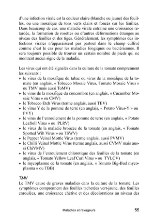 d’une infection virale est la couleur claire (blanche ou jaune) des feuil-
les, ou une mosaïque de tons verts clairs et foncés sur les feuilles.
Dans beaucoup de cas, une maladie virale entraîne une croissance re-
tardée, la formation de rosettes ou d’autres déformations étranges au
niveau des feuilles et des tiges. Généralement, les symptômes des in-
fections virales n’apparaissent pas partout dans le champ cultivé
comme c’est le cas pour les maladies fongiques ou bactériennes. Il
sera toujours possible de trouver un certain nombre de pieds qui ne
montrent aucun signe de la maladie.

Les virus qui ont été signalés dans la culture de la tomate comprennent
les suivants :
? le virus de la mosaïque du tabac ou virus de la mosaïque de la to-
   mate (en anglais, « Tobacco Mosaic Virus, Tomato Mosaic Virus »
   ou TMV mais aussi ToMV)
? le virus de la mosaïque du concombre (en anglais, « Cucumber Mo-
   saic Virus » ou CMV)
? le Tobacco Etch Virus (terme anglais, aussi TEV)
? le virus Y de la pomme de terre (en anglais, « Potato Virus-Y » ou
   PVY)
? le virus de l’enroulement de la pomme de terre (en anglais, « Potato
   Leafroll Virus » ou PLRV)
? le virus de la maladie bronzée de la tomate (en anglais, « Tomato
   Spotted Wilt Virus » ou TSWV)
? le Pepper Veinal Mottle Virus (terme anglais, aussi PVMV)
? le Chilli Veinal Mottle Virus (terme anglais, aussi CVMV mais aus-
   si ChiVMV)
? le virus de l’enroulement chlorotique des feuilles de la tomate (en
   anglais, « Tomato Yellow Leaf Curl Virus » ou TYLCV)
? le mycoplasme de la tomate (en anglais, « Tomato Big-Bud myco-
   plasma » ou TBB)

TMV
Le TMV cause de graves maladies dans la culture de la tomate. Les
symptômes comprennent des feuilles tachetées vert-jaune, des feuilles
enroulées, une croissance chétive et des décolorations au niveau des


                          Maladies et ravageurs                        55
 