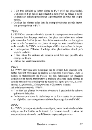 ? Il est très difficile de lutter contre le PVY avec des insecticides.
  L’utilisation d’un paillis qui réfléchit la lumière et de pièges à insec-
  tes jaunes et collants peut limiter la propagation du virus par les pu-
  cerons.
? Cultiver des plantes utiles dans le champ de tomates est très impor-
  tant pour réprimer le PVY.

TSWV
Le TSWV est une maladie de la tomate à conséquences économiques
importantes dans les pays tropicaux. Les pieds contaminés sont rabou-
gris et ont des feuilles jaunes. Les fruits montrent des cercles légère-
ment en relief de couleur vert, jaune et rouge qui sont caractéristiques
de la maladie. Le TSWV est transmis par différentes espèces de thrips.
? Il est important d’éliminer les thrips et les plantes-hôtes afin de pré-
   venir la maladie.
? Il faut situer les cultures de tomates aussi loin que possible des
   champs de fleurs.
? Utiliser des variétés résistantes.

PVMV
Le PVMV provoque des mosaïques sur la tomate. Les souches viru-
lentes peuvent provoquer la nécrose des feuilles et des tiges. Dans la
nature, la transmission du PVMV est non persistante (un puceron
contaminé ne pourra transmettre la maladie qu’à une seule plante) et
causée par au moins cinq espèce de pucerons : Aphis gossypii, A. cras-
sivora, A. spiraecola, Myzus persicae et Toxoptera citridus.
Afin de lutter contre le PVMV :
? Il ne faut pas planter les cultures de tomate à proximité de cultures
   qui ont été infectées.
? De bonnes pratiques de désherbage et de lutte contre les pucerons
   en pépinière peuvent également réduire la propagation du PVMV.

CVMV
Le CVMV provoque des taches mosaïques jaunes ou des taches chlo-
rotiques sur les feuilles de la tomate. La transmission de ce virus est
non persistante et causée par différentes espèces de pucerons.


                           Maladies et ravageurs                        57
 