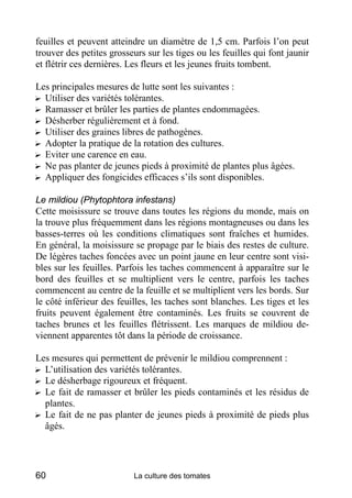 feuilles et peuvent atteindre un diamètre de 1,5 cm. Parfois l’on peut
trouver des petites grosseurs sur les tiges ou les feuilles qui font jaunir
et flétrir ces dernières. Les fleurs et les jeunes fruits tombent.

Les principales mesures de lutte sont les suivantes :
? Utiliser des variétés tolérantes.
? Ramasser et brûler les parties de plantes endommagées.
? Désherber régulièrement et à fond.
? Utiliser des graines libres de pathogènes.
? Adopter la pratique de la rotation des cultures.
? Eviter une carence en eau.
? Ne pas planter de jeunes pieds à proximité de plantes plus âgées.
? Appliquer des fongicides efficaces s’ils sont disponibles.

Le mildiou (Phytophtora infestans)
Cette moisissure se trouve dans toutes les régions du monde, mais on
la trouve plus fréquemment dans les régions montagneuses ou dans les
basses-terres où les conditions climatiques sont fraîches et humides.
En général, la moisissure se propage par le biais des restes de culture.
De légères taches foncées avec un point jaune en leur centre sont visi-
bles sur les feuilles. Parfois les taches commencent à apparaître sur le
bord des feuilles et se multiplient vers le centre, parfois les taches
commencent au centre de la feuille et se multiplient vers les bords. Sur
le côté inférieur des feuilles, les taches sont blanches. Les tiges et les
fruits peuvent également être contaminés. Les fruits se couvrent de
taches brunes et les feuilles flétrissent. Les marques de mildiou de-
viennent apparentes tôt dans la période de croissance.

Les mesures qui permettent de prévenir le mildiou comprennent :
? L’utilisation des variétés tolérantes.
? Le désherbage rigoureux et fréquent.
? Le fait de ramasser et brûler les pieds contaminés et les résidus de
  plantes.
? Le fait de ne pas planter de jeunes pieds à proximité de pieds plus
  âgés.




60                        La culture des tomates
 