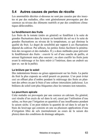 5.4     Autres causes de pertes de récolte
Les anormalités décrites ci-dessous ne sont pas causées par des insec-
tes ni par des maladies, elles sont généralement provoquées par des
carences au niveau des éléments nutritifs et par des conditions clima-
tiques défavorables.

Le fendillement des fruits
Les fruits de la tomate (mûrs en général) se fendillent à la suite de
grandes fluctuations dans la teneur en humidité du sol ou à la suite de
grandes fluctuations au niveau de la température, ce qui diminue la
qualité du fruit. Le degré de sensibilité par rapport à ces fluctuations
dépend du cultivar. Par ailleurs, les petites fentes facilitent la pénétra-
tion des ravageurs et des maladies. Il y a deux méthodes pour prévenir
le fendillement des fruits : couvrir le sol d’une couche de paillis, et
arroser légèrement mais plus souvent ; ou alors cueillir les fruits juste
avant le mûrissage et les faire mûrir à l’intérieur, dans un endroit sec
(par ex. sur de la paille).

La brûlure par le soleil
Des indentations brunes ou grises apparaissent sur les fruits. La partie
du fruit la plus exposée au soleil pourrit en premier. L’on peut éviter
ceci en offrant plus d’ombre pendant le mûrissage des fruits en plan-
tant des arbres ou par le biais d’une culture intercalaire judicieuse. Les
brûlures de soleil sont plus fréquentes chez les tomates non tuteurées.

La pourriture apicale
Cette maladie est provoquée par une carence en calcium. En général,
ceci résulte d’un excès de sel dans le sol, causé par l’utilisation d’eau
saline, ou bien par l’irrigation en quantités d’eau insuffisantes pendant
la saison sèche. L’on peut réduire la quantité de sel dans le sol par le
biais du lessivage qui consiste en une ou plusieurs applications d’eau
d’irrigation libre de sels (normalement au cours de la saison des
pluies) dans des conditions de drainage adéquats.




                           Maladies et ravageurs                        63
 