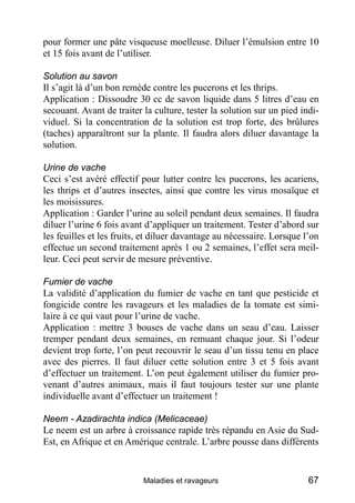 pour former une pâte visqueuse moelleuse. Diluer l’émulsion entre 10
et 15 fois avant de l’utiliser.

Solution au savon
Il s’agit là d’un bon remède contre les pucerons et les thrips.
Application : Dissoudre 30 cc de savon liquide dans 5 litres d’eau en
secouant. Avant de traiter la culture, tester la solution sur un pied indi-
viduel. Si la concentration de la solution est trop forte, des brûlures
(taches) apparaîtront sur la plante. Il faudra alors diluer davantage la
solution.

Urine de vache
Ceci s’est avéré effectif pour lutter contre les pucerons, les acariens,
les thrips et d’autres insectes, ainsi que contre les virus mosaïque et
les moisissures.
Application : Garder l’urine au soleil pendant deux semaines. Il faudra
diluer l’urine 6 fois avant d’appliquer un traitement. Tester d’abord sur
les feuilles et les fruits, et diluer davantage au nécessaire. Lorsque l’on
effectue un second traitement après 1 ou 2 semaines, l’effet sera meil-
leur. Ceci peut servir de mesure préventive.

Fumier de vache
La validité d’application du fumier de vache en tant que pesticide et
fongicide contre les ravageurs et les maladies de la tomate est simi-
laire à ce qui vaut pour l’urine de vache.
Application : mettre 3 bouses de vache dans un seau d’eau. Laisser
tremper pendant deux semaines, en remuant chaque jour. Si l’odeur
devient trop forte, l’on peut recouvrir le seau d’un tissu tenu en place
avec des pierres. Il faut diluer cette solution entre 3 et 5 fois avant
d’effectuer un traitement. L’on peut également utiliser du fumier pro-
venant d’autres animaux, mais il faut toujours tester sur une plante
individuelle avant d’effectuer un traitement !

Neem - Azadirachta indica (Melicaceae)
Le neem est un arbre à croissance rapide très répandu en Asie du Sud-
Est, en Afrique et en Amérique centrale. L’arbre pousse dans différents


                           Maladies et ravageurs                        67
 