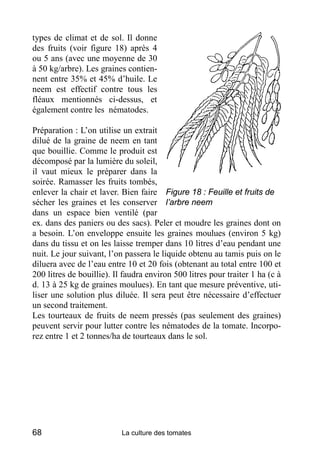 types de climat et de sol. Il donne
des fruits (voir figure 18) après 4
ou 5 ans (avec une moyenne de 30
à 50 kg/arbre). Les graines contien-
nent entre 35% et 45% d’huile. Le
neem est effectif contre tous les
fléaux mentionnés ci-dessus, et
également contre les nématodes.

Préparation : L’on utilise un extrait
dilué de la graine de neem en tant
que bouillie. Comme le produit est
décomposé par la lumière du soleil,
il vaut mieux le préparer dans la
soirée. Ramasser les fruits tombés,
enlever la chair et laver. Bien faire Figure 18 : Feuille et fruits de
sécher les graines et les conserver l’arbre neem
dans un espace bien ventilé (par
ex. dans des paniers ou des sacs). Peler et moudre les graines dont on
a besoin. L’on enveloppe ensuite les graines moulues (environ 5 kg)
dans du tissu et on les laisse tremper dans 10 litres d’eau pendant une
nuit. Le jour suivant, l’on passera le liquide obtenu au tamis puis on le
diluera avec de l’eau entre 10 et 20 fois (obtenant au total entre 100 et
200 litres de bouillie). Il faudra environ 500 litres pour traiter 1 ha (c à
d. 13 à 25 kg de graines moulues). En tant que mesure préventive, uti-
liser une solution plus diluée. Il sera peut être nécessaire d’effectuer
un second traitement.
Les tourteaux de fruits de neem pressés (pas seulement des graines)
peuvent servir pour lutter contre les nématodes de la tomate. Incorpo-
rez entre 1 et 2 tonnes/ha de tourteaux dans le sol.




68                         La culture des tomates
 