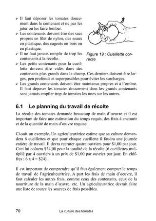 ? Il faut déposer les tomates douce-
  ment dans le contenant et ne pas les
  jeter ou les faire tomber.
? Les contenants doivent être des sacs
  propres en filet de nylon, des seaux
  en plastique, des cageots en bois ou
  en plastique.
? Il ne faut jamais remplir de trop les Figure 19 : Cueillette cor-
  contenants à la récolte.               recte
? Les petits contenants pour la cueil-
  lette doivent être vidés dans des
  contenants plus grands dans le champ. Ces derniers doivent être lar-
  ges, peu profonds et superposables pour éviter les surcharges.
? Les grands contenants doivent être maintenus propres et à l’ombre.
  Il faut déposer les tomates doucement dans les grands contenants
  sans jamais empiler trop de tomates les unes sur les autres.


6.1     Le planning du travail de récolte
La récolte des tomates demande beaucoup de main d’oeuvre et il est
important de faire une estimation du temps requis, des frais à encourir
et de la quantité de main d’œuvre requise.

Ci-suit un exemple. Un agriculteur/trice estime que sa culture deman-
dera 6 cueillettes et que pour chaque cueillette il faudra une journée
entière de travail. Il devra recruter quatre ouvriers pour $1,00 par jour.
Ceci lui coûtera $24,00 pour la totalité de la récolte (6 cueillettes mul-
tiplié par 4 ouvriers à un prix de $1,00 par ouvrier par jour. En chif-
fres : 6 x 4 = $24).

Il est important de comprendre qu’il faut également compter le temps
de travail de l’agriculteur/trice. A part les frais de main d’oeuvre, il
faut calculer les autres frais, comme ceux des contenants, ceux de la
nourriture de la main d’œuvre, etc. Un agriculteur/trice devrait faire
une liste de toutes les sources de frais possibles.




70                        La culture des tomates
 