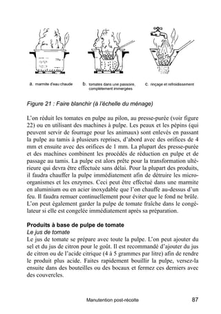 Figure 21 : Faire blanchir (à l’échelle du ménage)

L’on réduit les tomates en pulpe au pilon, au presse-purée (voir figure
22) ou en utilisant des machines à pulpe. Les peaux et les pépins (qui
peuvent servir de fourrage pour les animaux) sont enlevés en passant
la pulpe au tamis à plusieurs reprises, d’abord avec des orifices de 4
mm et ensuite avec des orifices de 1 mm. La plupart des presse-purée
et des machines combinent les procédés de réduction en pulpe et de
passage au tamis. La pulpe est alors prête pour la transformation ulté-
rieure qui devra être effectuée sans délai. Pour la plupart des produits,
il faudra chauffer la pulpe immédiatement afin de détruire les micro-
organismes et les enzymes. Ceci peut être effectué dans une marmite
en aluminium ou en acier inoxydable que l’on chauffe au-dessus d’un
feu. Il faudra remuer continuellement pour éviter que le fond ne brûle.
L’on peut également garder la pulpe de tomate fraîche dans le congé-
lateur si elle est congelée immédiatement après sa préparation.

Produits à base de pulpe de tomate
Le jus de tomate
Le jus de tomate se prépare avec toute la pulpe. L’on peut ajouter du
sel et du jus de citron pour le goût. Il est recommandé d’ajouter du jus
de citron ou de l’acide citrique (4 à 5 grammes par litre) afin de rendre
le produit plus acide. Faites rapidement bouillir la pulpe, versez-la
ensuite dans des bouteilles ou des bocaux et fermez ces derniers avec
des couvercles.



                         Manutention post-récolte                     87
 