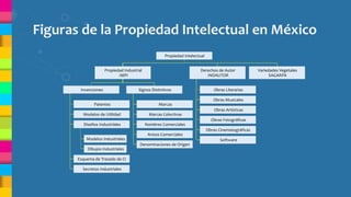 Figuras de la Propiedad Intelectual en México
Patentes
Modelos de Utilidad
Modelos Industriales
Dibujos Industriales
Diseños Industriales
Esquema de Trazado de CI
Secretos Industriales
Marcas Colectivas
Nombres Comerciales
Denominaciones de Origen
Signos Distintivos
Obras Musicales
Obras Artísticas
Obras Cinematográficas
Software
Derechos de Autor
INDAUTOR
Variedades Vegetales
SAGARPA
Propiedad Intelectual
Marcas
Propiedad Industrial
IMPI
Avisos Comerciales
Obras Fotográficas
Obras LiterariasInvenciones
 