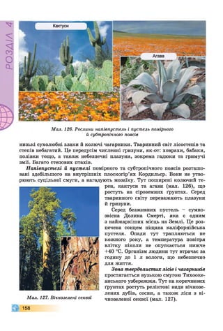 РОЗДІЛ4
Мал. 126. Рослини напівпустель і пустель помірного
й субтропічного поясів
низькі сухолюбні злаки й колючі чагарники. Тваринний світ лісостепів та
степів небагатий. Це передусім численні гризуни, як-от: ховрахи, бабаки,
полівки тощо, а також небезпечні плазуни, зокрема гадюки та гримучі
змії. Багато степових птахів.
Напівпустелі й пустелі помірного та субтропічного поясів розташо­
вані здебільшого на внутрішніх плоскогір’ях Кордильєр. Вони не утво­
рюють суцільної смуги, а нагадують мозаїку. Тут поширені колючий те­
рен, кактуси та агави (мал. 126), що
ростуть на сіроземних ґрунтах. Серед
тваринного світу переважають плазуни
й гризуни.
Серед безживних пустель - сумно­
звісна Долина Смерті, яка є одним
з найжаркіших місць на Землі. Це роз­
печена сонцем піщана каліфорнійська
пустеля. Опади тут трапляються не
кожного року, а температура повітря
влітку ніколи не опускається нижче
+40 °С. Організм людини тут втрачає за
годину до 1 л вологи, що небезпечно
для життя.
Зона твердолистих лісів і чагарників
простягається вузькою смугою Тихооке­
анського узбережжя. Тут на коричневих
ґрунтах ростуть реліктові види вічнозе­
лених дубів, сосни, а також ліси з ві­
чнозеленої секвої (мал. 127).Мал. 127. Вічнозелені секвої
158
Кактуси
Агава
 