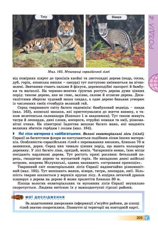 Вівера
Мал. 165. Мешканці євразійської гілеі
від помірних широт до тропіків хвойні та листопадні дерева (кедр, сосна,
дуб, горіх, японська вишня - сакура) тут поступово змінюються на вічно­
зелені. Звичними стають пальми й фікуси, деревоподібні папороті й бамбу­
ки та магнолії. На червоно-жовтих ґрунтах ростуть дерева дуже цінних
порід: тикове дерево, яке не гниє, залізне, салове й атласне дерева. Деся­
тиліттями зберігає чудовий запах сандал, а одне дерево баньяна утворює
із численних своїх стовбурів великий гай.
Серед тваринного світу багато ендеміків: бамбуковий ведмідь - панда
(мал. 163), японські макаки, які пристосувалися до життя взимку, а та­
кож велетенська саламандра (близько 1 м завдовжки). Тут також живуть
тигри й леопарди, дикі слони, носороги, отруйні комахи та змії, різнома­
нітні птахи. На півострові Індостан мешкає багато мавп, які завдають
великих збитків городам і полям (мал. 164).
І Які ліси материка є найбагатшими. Вологі екваторіальні ліси (гілеі)
Євразії за багатством флори не поступаються подібним лісам інших матери­
ків. Особливістю євразійських гілей є переважання високих, близько 70 м
заввишки, дерев. Серед них чимало цінних порід, що мають кольорову
деревину. У лісі багато ліан, орхідей, мохів. Чагарників немає, їхнє місце
посідають карликові дерева. Тут ростуть пряні рослини: бетельний пе­
рець, гвоздичне дерево та мускатний горіх. Не випадково деякі азійські
острови, зокрема Молуккські, здавна називають «островами прянощів».
Тваринний світ екваторіальних лісів Євразії надзвичайно різноманіт­
ний (мал. 165). Тут мешкають мавпи, вівери, тигри, леопарди, змії. Біль­
шість тварин оселяється у верхніх ярусах лісу. А ящірка летючий дракон
планерує з дерева на дерево й може пролетіти близько ЗО м.
Площа вологих екваторіальних та мусонних лісів Євразії неухильно
скорочується. Людина витісняє їх у важкодоступні гірські райони.
МОЇ ДОСЛІДЖЕННЯ
За додатковими джерелами інформації з’ясуйте райони, де площі
гілей значно скоротилися. Позначте ці території на контурній карті.
203
РОЗДІЛ4
 