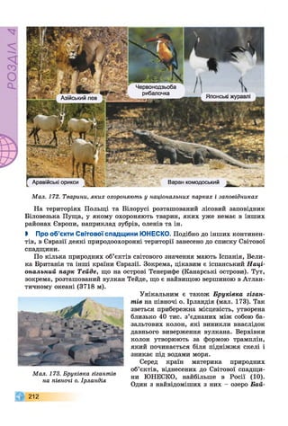 журавліАзійський лев
Червонодзьоба
рибалочка
Японськ
Аравійські орикси Варан комодоський
Мал. 172. Тварини, яких охороняють у національних парках і заповідниках
На територіях Польщі та Білорусі розташований лісовий заповідник
Біловезька Пуща, у якому охороняють тварин, яких уже немає в інших
районах Європи, наприклад зубрів, оленів та ін.
І Про об’єкти Світової спадщини ЮНЕСКО. Подібно до інших континен­
тів, в Євразії деякі природоохоронні території занесено до списку Світової
спадщини.
По кілька природних об’єктів світового значення мають Іспанія, Вели­
ка Британія та інші країни Євразії. Зокрема, цікавим є іспанський Наці­
ональний парк Тейде, що на острові Тенерифе (Канарські острови). Тут,
зокрема, розташований вулкан Тейде, що є найвищою вершиною в Атлан-
Унікальним є також Бруківка гіган­
тів на півночі о. Ірландія (мал. 173). Так
зветься прибережна місцевість, утворена
близько 40 тис. з’єднаних між собою ба­
зальтових колон, які виникли внаслідок
давнього виверження вулкана. Верхівки
колон утворюють за формою трамплін,
який починається біля підніжжя скелі і
зникає під водами моря.
Серед країн материка природних
об’єктів, віднесених до Світової спадщи­
ни ЮНЕСКО, найбільше в Росії (10).
Один з найвідоміших з них - озеро Бай­
212
тичному океані (3718 м).
Мал. 173. Бруківка гігантів
на півночі о. Ірландія
 