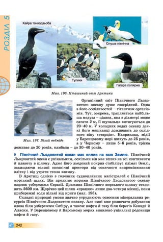 РОЗЛІЛ5
Кайра тонкодзьоба
Органічний світ Північного Льодо­
витого океану дуже своєрідний. Одна
з його особливостей - гігантизм організ­
мів. Тут, зокрема, трапляється найбіль­
ша медуза - ціанея, яка в діаметрі може
сягати 2 м, її щупальця витягуються до
20-40 м. У холодних водах океану дея­
кі його мешканці доживають до солід­
ного віку «старців». Наприклад, мідії
у Баренцовому морі живуть до 25 років,
а у Чорному - лише 5-6 років, тріска
доживає до 20 років, камбала - до 30-40 років.
> Північний Льодовитий океан має вплив на всю Землю. Північний
Льодовитий океан є унікальним, оскільки він має вплив на всі континенти
й планету в цілому. Адже його льодовий покрив стабілізує клімат Землі,
захищаючи великі океанічні простори від сонячного випромінювання
влітку і від утрати тепла взимку.
В Арктиці однією з головних судноплавних магістралей є Північний
морський шлях. Він пролягає морями Північного Льодовитого океану
вздовж узбережжя Євразії. Довжина Північного морського шляху стано­
вить 5600 км. Щорічно цей шлях «працює» лише два-чотири місяці, поки
прибережні води вільні від криги (мал. 198).
Складні природні умови значно утруднюють освоєння мінеральних ре­
сурсів Північного Льодовитого океану. Але нині вже розпочато добування
олова біля узбережжя Сибіру, а також нафти й газу біля берегів Канади й
Аляски. У Баренцовому й Карському морях виявлено унікальні родовища
нафти й газу.
242
 