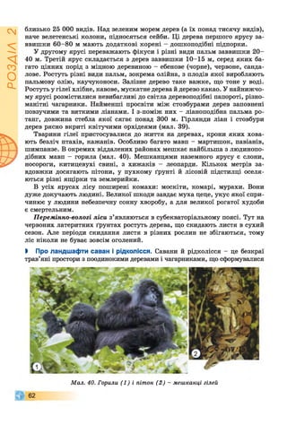 ІZlVSOd
близько 25 000 видів. Над зеленим морем дерев (а їх понад тисячу видів),
наче велетенські колони, підносяться сейби. Ці дерева першого ярусу за­
ввишки 60-80 м мають додаткові корені - дошкоподібні підпорки.
У другому ярусі переважають фікуси і різні види пальм заввишки 20-
40 м. Третій ярус складається з дерев заввишки 10-15 м, серед яких ба­
гато цінних порід з міцною деревиною - ебенове (чорне), червоне, санда­
лове. Ростуть різні види пальм, зокрема олійна, з плодів якої виробляють
пальмову олію, каучуконоси. Залізне дерево таке важке, що тоне у воді.
Ростуть у гілеї хлібне, кавове, мускатне дерева й дерево какао. У найнижчо­
му ярусі розмістилися невибагливі до світла деревоподібні папороті, різно­
манітні чагарники. Найменші просвіти між стовбурами дерев заповнені
повзучими та виткими ліанами. І з-поміж них - ліаноподібна пальма ро­
танг, довжина стебла якої сягає понад 300 м. Гірлянди ліан і стовбури
дерев рясно вкриті квітучими орхідеями (мал. 39).
Тварини гілеї пристосувалися до життя на деревах, крони яких хова­
ють безліч птахів, кажанів. Особливо багато мавп - мартишок, павіанів,
шимпанзе. В окремих віддалених районах мешкає найбільша з людинопо­
дібних мавп - горила (мал. 40). Мешканцями наземного ярусу є слони,
носороги, китицевухі свині, з хижаків - леопарди. Кількох метрів за­
вдовжки досягають пітони, у пухкому ґрунті й лісовій підстилці оселя­
ються різні ящірки та землерийки.
В усіх ярусах лісу поширені комахи: москіти, комарі, мурахи. Вони
дуже докучають людині. Великої шкоди завдає муха цеце, укус якої спри­
чинює у людини небезпечну сонну хворобу, а для великої рогатої худоби
є смертельним.
Перемінно-вологі ліси з’являються в субекваторіальному поясі. Тут на
червоних латеритних ґрунтах ростуть дерева, що скидають листя в сухий
сезон. Але періоди скидання листя в різних рослин не збігаються, тому
ліс ніколи не буває зовсім оголений.
І Про ландшафти саван і рідколісся. Савани й рідколісся - це безкраї
трав’яні простори з поодинокими деревами і чагарниками, що сформувалися
Мал. 40. Горили (1 ) і пітон (2 ) - мешканці гілей
 
