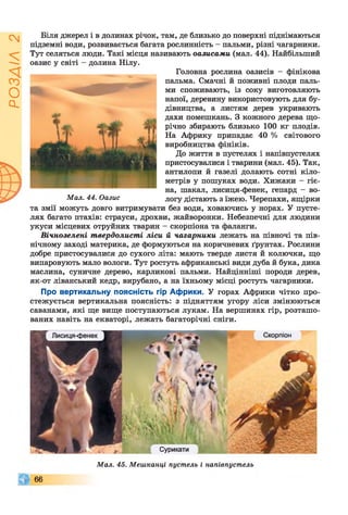 ІZlVSOd
Біля джерел і в долинах річок, там, де близько до поверхні піднімаються
підземні води, розвивається багата рослинність - пальми, різні чагарники.
Тут селяться люди. Такі місця називають оазисами (мал. 44). Найбільший
оазис у світі - долина Нілу.
Головна рослина оазисів - фінікова
пальма. Смачні й поживні плоди паль­
ми споживають, із соку виготовляють
напої, деревину використовують для бу­
дівництва, а листям дерев укривають
дахи помешкань. З кожного дерева що­
річно збирають близько 100 кг плодів.
На Африку припадає 40 % світового
виробництва фініків.
До життя в пустелях і напівпустелях
пристосувалися і тварини (мал. 45). Так,
антилопи й газелі долають сотні кіло­
метрів у пошуках води. Хижаки - гіє­
на, шакал, лисиця-фенек, гепард - во-
Мал. 44. Оазис логу дістають з їжею. Черепахи, ящірки
та змії можуть довго витримувати без води, ховаючись у норах. У пусте­
лях багато птахів: страуси, дрохви, жайворонки. Небезпечні для людини
укуси місцевих отруйних тварин - скорпіона та фаланги.
Вічнозелені твердолисті ліси й чагарники лежать на півночі та пів­
нічному заході материка, де формуються на коричневих ґрунтах. Рослини
добре пристосувалися до сухого літа: мають тверде листя й колючки, що
випаровують мало вологи. Тут ростуть африканські види дуба й бука, дика
маслина, суничне дерево, карликові пальми. Найцінніші породи дерев,
як-от ліванський кедр, вирубано, а на їхньому місці ростуть чагарники.
Про вертикальну поясність гір Африки. У горах Африки чітко про­
стежується вертикальна поясність: з підняттям угору ліси змінюються
саванами, які ще вище поступаються лукам. На вершинах гір, розташо­
ваних навіть на екваторі, лежать багаторічні сніги.
т . " і ! -у
Сурикати
Мал. 45. Мешканці пустель і напівпустель
66
 