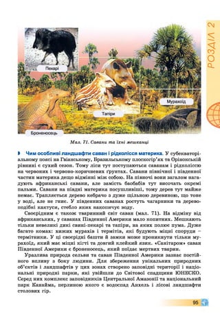 Мал. 71. Савани та їхні мешканці
І Чим особливі ландшафти саван і рідколісся материка. У субекваторі­
альному поясі на Гвіанському, Бразильському плоскогір’ях та Орінокській
рівнині є сухий сезон. Тому ліси тут поступаються саванам і рідколіссю
на червоних і червоно-коричневих ґрунтах. Савани північної і південної
частин материка дещо відмінні між собою. На півночі вони загалом нага­
дують африканські савани, але замість баобабів тут височать окремі
пальми. Савани на півдні материка посушливіші, тому дерев тут майже
немає. Трапляється дерево кебрачо з дуже щільною деревиною, що тоне
у воді, але не гниє. У південних саванах ростуть чагарники та дерево­
подібні кактуси, стебло яких накопичує воду.
Своєрідним є також тваринний світ саван (мал. 71). На відміну від
африканських, у саванах Південної Америки мало копитних. Мешкають
тільки невеликі дикі свині-пекарі та тапіри, на яких полює пума. Дуже
багато комах: хижих мурахів і термітів, які будують міцні споруди -
термітники. У ці своєрідні башти й замки може проникнути тільки му­
рахоїд, який має міцні кігті та довгий клейкий язик. «Санітаром» саван
Південної Америки є броненосець, який поїдає мертвих тварин.
Уразлива природа сельви та саван Південної Америки зазнає постій­
ного впливу з боку людини. Для збереження унікальних природних
об’єктів і ландшафтів у цих зонах створено заповідні території і націо­
нальні природні парки, які увійшли до Світової спадщини ЮНЕСКО.
Серед них комплекс заповідників Центральної Амазонії та національний
парк Канайма, перлиною якого є водоспад Анхель і лісові ландшафти
столових гір.
95
РОЗДІЛ2
 