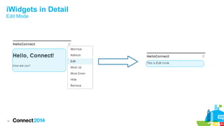 iWidgets in Detail
Edit Mode

18

 