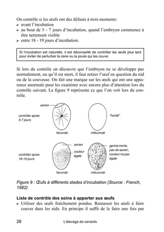 On contrôle si les œufs ont des défauts à trois moments:
? avant l’incubation
? au bout de 5 - 7 jours d’incubation, quand l’embryon commence à
  être nettement visible
? entre 18 - 19 jours d’incubation.

 Si l’incubation est naturelle, il est déconseillé de contrôler les œufs plus tard
 pour éviter de perturber la cane ou la poule qui les couve.


Si lors du contrôle on découvre que l’embryon ne se développe pas
normalement, ou qu’il est mort, il faut retirer l’œuf en question du nid
ou de la couveuse. On fait une marque sur les œufs qui ont une appa-
rence anormale pour les examiner avec encore plus d’attention lors du
contrôle suivant. La figure 9 représente ce que l’on voit lors du con-
trôle.




Figure 9 : Œufs à différents stades d’incubation (Source : French,
1982)

Liste de contrôle des soins à apporter aux œufs
? Utiliser des œufs fraîchement pondus. Ramasser les œufs à faire
  couver dans les nids. En principe il suffit de le faire une fois par

28                            L'élevage de canards
 