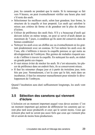 jour, les canards ne pondant que le matin. Si le ramassage se fait
    vers 9 heures, on peut éventuellement vérifier une heure plus tard
    s’il reste des œufs.
?   Sélectionner les meilleurs œufs, selon leur grandeur, leur forme, la
    structure de la coquille et leur propreté. Les œufs qui satisfont le
    mieux aux critères de forme et de grandeur ont le plus de chance
    d’éclore.
?   Utiliser de préférence des œufs frais. S’il y a beaucoup d’œufs qui
    doivent éclore en même temps, on peut se servir d’œufs datant au
    maximum de 7 jours, à condition qu’ils aient été conservés dans de
    bonnes conditions!
?   Nettoyer les œufs avec un chiffon sec ou éventuellement en les grat-
    tant prudemment avec un couteau. Si l’on nettoie les œufs avec de
    l’eau, elle s’infiltrera à travers la coquille poreuse ce qui nuira au
    développement de l’embryon. Des germes de maladies risquent aus-
    si de s’infiltrer à travers la coquille. En nettoyant les œufs, on réduit
    en grande partie ces risques.
?   Il vaut mieux éviter de stocker les œufs. Si c’est nécessaire, les pla-
    cer de préférence dans un endroit frais, ils se conserveront mieux.
?   Il faut les retourner chaque jour et à partir du troisième jour, trois
    fois par jour. Normalement, c’est la cane qui le fait, mais dans un
    incubateur, il faut les retourner manuellement pour stimuler le déve-
    loppement de l’embryon.

Quand l’incubation aura duré suffisamment longtemps, les œufs vont
éclore.


3.5      Sélection des canetons qui viennent
         d’éclore
L’éclosion est un moment important auquel vous devez assister. C’est
un moment important qui permet de différencier les canetons qui se-
ront plus tard assez productifs et ceux qui le seront moins. Ceux qui
éclosent plus tard ne seront pas aussi forts que ceux qui viennent plus
tôt et seront de moins bons producteurs.



                L’incubation des œufs et l’élevage des canetons           29
 
