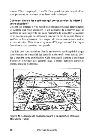 besoin d’être compliquée, il suffit d’un grand bac plat rempli d’eau
pour permettre aux canards de se laver et de se baigner.

Comment choisir les systèmes qui correspondent le mieux à
votre situation?
Ce sont vos intérêts et vos possibilités (financières) qui détermineront
le système que vous choisirez. Il est conseillé de démarrer avec un
système en semi-captivité qui vous permettra de surveiller les canards
et ne nécessitera pas des dépenses excessives dès le départ. Dans un
système en libre-parcours, vous risquez de perdre vos canards, surtout
si vous débutez. Mais dans un système d’élevage intensif, les risques
financiers seront peut-être trop grands.

Une fois que vous maîtrisez bien le système en semi-captivité et que
vous connaissez le marché des canards et des œufs, vous pouvez déci-
der d’étendre votre exploitation. Cela vaut aussi la peine d’envisager
d’associer l’élevage des canards avec d’autres activités agricoles,
comme indiqué ci-dessous.




Figure 15 : Elevage de canards intégré à la riziculture (Source :
Meinderts, 1986)



38                        L'élevage de canards
 