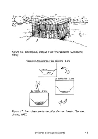 Figure 16 : Canards au-dessus d’un vivier (Source : Meinderts,
1986)




Figure 17 : La croissance des recoltes dans un bassin. (Source :
Jinshu, 1997)




                    Systemes d’élevage de canards                  41
 