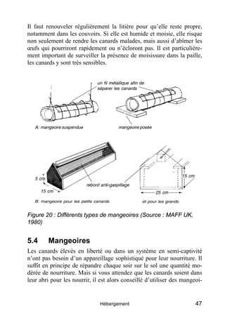 Il faut renouveler régulièrement la litière pour qu’elle reste propre,
notamment dans les couvoirs. Si elle est humide et moisie, elle risque
non seulement de rendre les canards malades, mais aussi d’abîmer les
œufs qui pourriront rapidement ou n’écloront pas. Il est particulière-
ment important de surveiller la présence de moisissure dans la paille,
les canards y sont très sensibles.




Figure 20 : Différents types de mangeoires (Source : MAFF UK,
1980)


5.4     Mangeoires
Les canards élevés en liberté ou dans un système en semi-captivité
n’ont pas besoin d’un appareillage sophistiqué pour leur nourriture. Il
suffit en principe de répandre chaque soir sur le sol une quantité mo-
dérée de nourriture. Mais si vous attendez que les canards soient dans
leur abri pour les nourrir, il est alors conseillé d’utiliser des mangeoi-


                              Hébergement                              47
 
