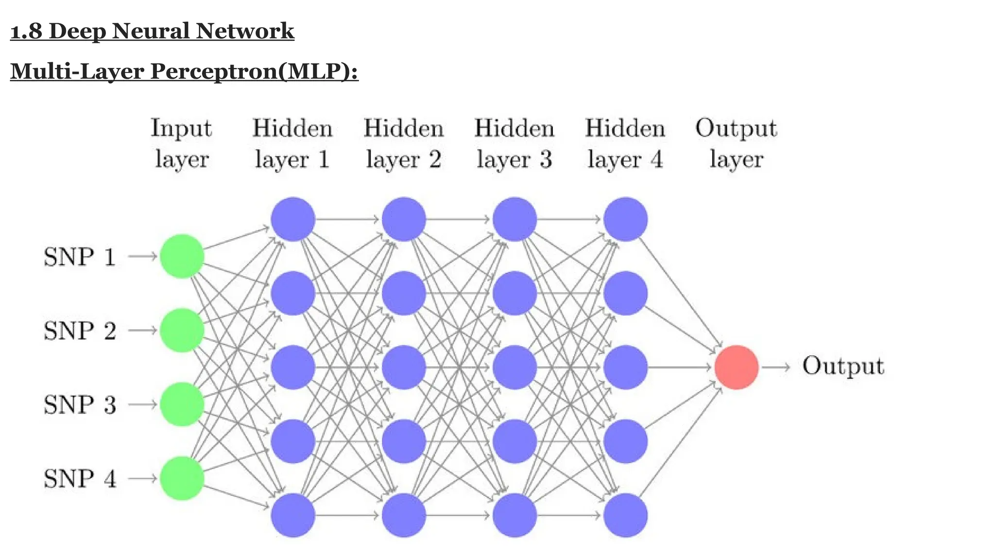 1.8 Deep Neural Network Multi-Layer Perceptron(MLP): 