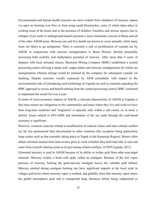 15
Environmental and human health concerns are most evident from inhalation of mercury vapour
via open air burning over fires or from using small blowtorches, some of which takes place in
cooking areas of the home and in the presence of children. Fatalities and serious injuries due to
collapse of pit walls or underground tunnels presents a more immediate concern in Busia and all
of the other ASGM areas. Between one and five deaths are known to occur annually while many
more are likely to go unreported. There is currently a risk of proliferation of cyanide use by
ASGM in conjunction with mercury amalgamation in Busia District, thereby potentially
increasing both mobility and methylation potential of mercury. After more than 6 years of
disputes with local artisanal miners, Busitema Mining Company (BMC) established a central
processing centre utilizing a stamp mill, copper plates and mercury amalgamation for whole ore
amalgamation wherein tailings would be retained by the company for subsequent cyanide vat
leaching. Despite concerns vocally expressed by ASM consultants with respect to the
environmental risks of introducing such technology to Uganda (as well as concerns regarding the
BMC approach to access and benefit sharing from the central processing centre), BMC continued
to implement the model for over a year.
In terms of socio‐economic impacts of ASGM, a relevant characteristic of ASGM in Uganda is
that most miners are indigenous to the communities and areas where they live and work (or have
been long-time residents) and “migration” is typically only within a sub county or, at most, a
district. Issues related to HIV/AIDS and stimulation of the sex trade through the cash-based
economy is significant.
However, common concerns related to modification of cultural values and inter‐cultural conflict
are far less pronounced than documented in other countries (the exception being particularly
large rushes such as that currently taking place in Napak in the Karamoja Region). Miners often
obtain informal consent from land owners prior to work (whether they hold land title or not) and
some form of profit sharing seems to be preventing related conflicts. (UNEP-Uganda, 2012)
Elemental mercury is used in ASGM because of its ability to isolate gold from other non-target
minerals. Mercury creates a bond with gold, called an amalgam. Because of the low vapor
pressure of mercury, burning the gold-mercury amalgam leaves the valuable gold behind.
Mercury emitted during amalgam burning can have significant impacts at the local scale in
villages and towns where mercury vapor is emitted, and globally when that mercury vapor enters
the global atmospheric pool and is transported large distances before being redeposited as
 