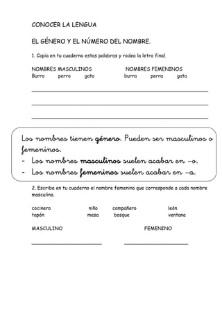 CONOCER LA LENGUA
EL GÉNERO Y EL NÚMERO DEL NOMBRE.
1. Copia en tu cuaderno estas palabras y rodea la letra final.
NOMBRES MASCULINOS NOMBRES FEMENINOS
Burro perro gato burra perra gata
__________________________________________________________
__________________________________________________________
__________________________________________________________
Los nombres tienen género. Pueden ser masculinos o
femeninos.
- Los nombres masculinos suelen acabar en –o.
- Los nombres femeninos suelen acabar en –a.
2. Escribe en tu cuaderno el nombre femenino que corresponde a cada nombre
masculino.
cocinero niño compañero león
tapón mesa bosque ventana
MASCULINO FEMENINO
_______________________ _____________________
 