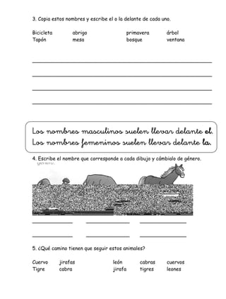 3. Copia estos nombres y escribe el o la delante de cada uno.
Bicicleta abrigo primavera árbol
Tapón mesa bosque ventana
__________________________________________________________
__________________________________________________________
__________________________________________________________
__________________________________________________________
Los nombres masculinos suelen llevar delante el.
Los nombres femeninos suelen llevar delante la.
4. Escribe el nombre que corresponde a cada dibujo y cámbialo de género.
_____________ ______________ _______________
_____________ ______________ _______________
5. ¿Qué camino tienen que seguir estos animales?
Cuervo jirafas león cabras cuervos
Tigre cabra jirafa tigres leones
Verónica Paredes
 