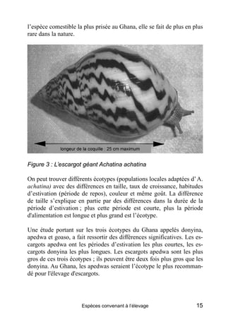l’espèce comestible la plus prisée au Ghana, elle se fait de plus en plus
rare dans la nature.




Figure 3 : L’escargot g...