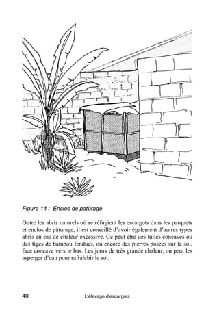 Figure 14 : Enclos de patûrage

Outre les abris naturels où se réfugient les escargots dans les parquets
et enclos de pâtu...